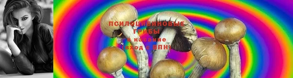 эйфоретик Семёнов