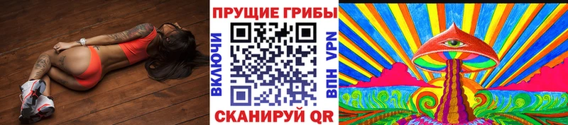 Купить где  Сосновоборск  Псилоцибиновые грибы Psilocybine cubensis 